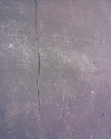 post-19724-1300368398_thumb.jpg
