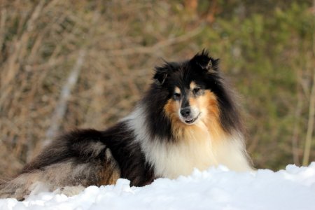 post-26955-0-51778300-1333014052_thumb.jpg