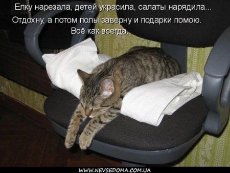 post-29417-0-20427100-1332562246_thumb.jpg