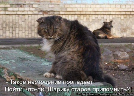 post-29417-0-31628600-1332040700_thumb.jpg