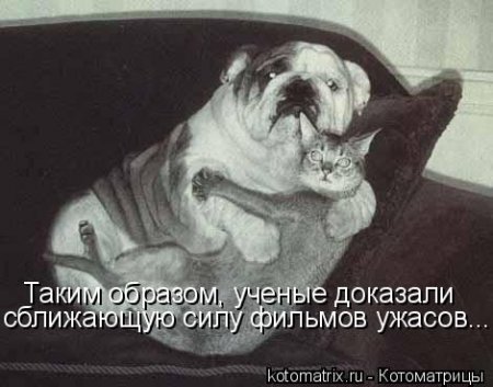 post-29417-0-31805100-1332472040_thumb.jpg