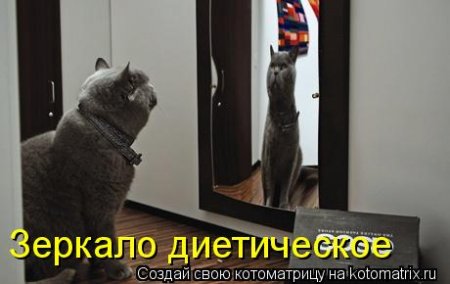 post-29417-0-59890200-1332564818_thumb.jpg