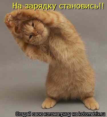 post-29417-0-61302300-1332383458_thumb.jpg