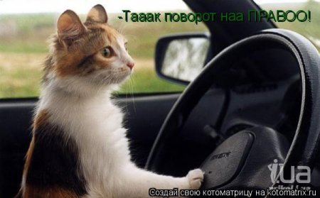 post-29417-0-29522300-1362215852_thumb.jpg