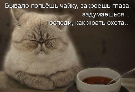 post-29417-0-52477400-1362215289_thumb.jpg