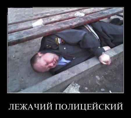 post-54955-0-42304100-1364375481_thumb.jpg