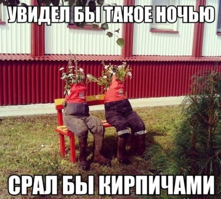 post-34406-0-43024200-1394643475_thumb.jpeg
