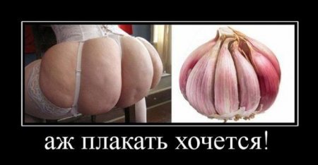 post-61669-0-94685600-1425361131_thumb.jpg