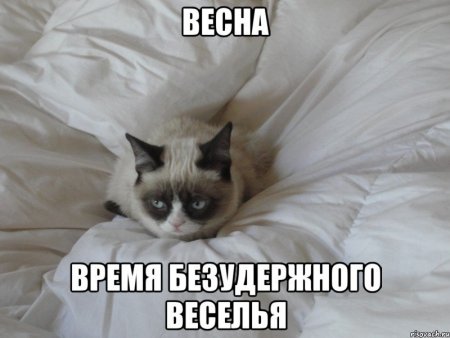 post-61669-0-96778200-1425355004_thumb.jpg