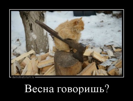 post-1523-0-84072000-1522082848_thumb.jpg
