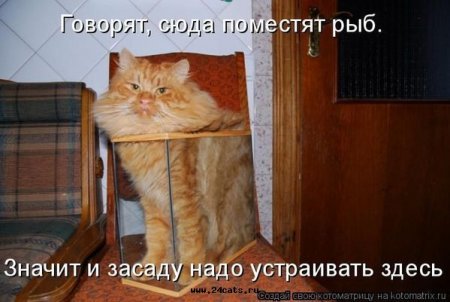 post-27988-1239013364_thumb.jpg