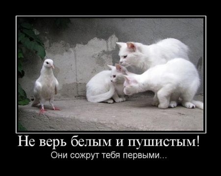 post-26950-1270829438_thumb.jpg