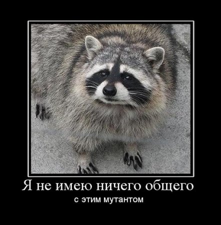post-30364-0-19500500-1303664239_thumb.jpg