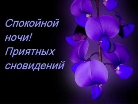 post-18213-0-69907600-1334256386_thumb.jpg