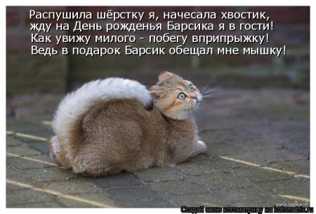 post-29417-0-56412900-1333681650_thumb.jpg