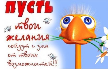 post-56677-0-30087100-1364870111_thumb.jpg