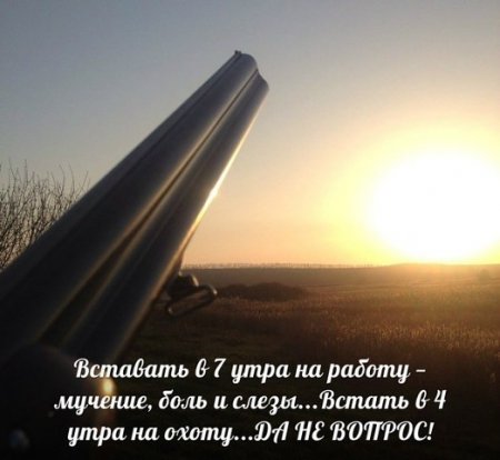post-29704-0-77006200-1461171237_thumb.jpg