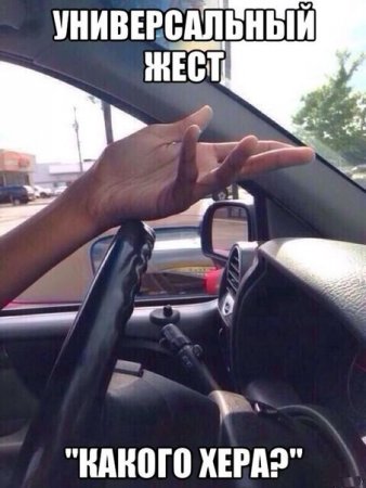 post-33023-0-21479100-1460704094_thumb.jpg