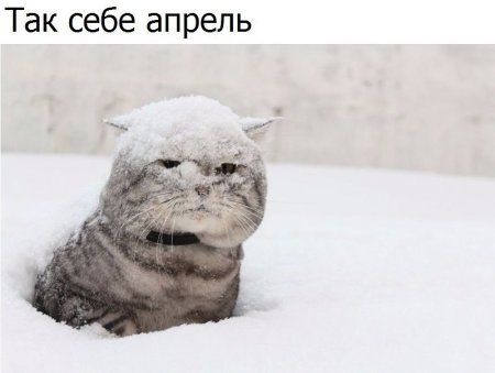 post-62260-0-30038900-1492585703_thumb.jpg