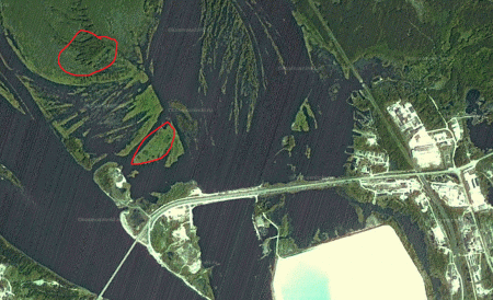 post-5437-1273762127_thumb.gif