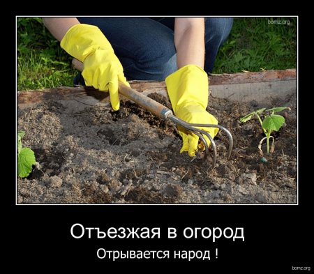 post-18213-0-55842700-1304844610_thumb.jpeg