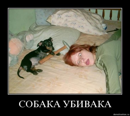 post-18213-0-00968500-1337520474_thumb.jpg