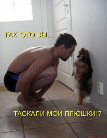 post-18213-0-10985000-1337520415_thumb.jpg