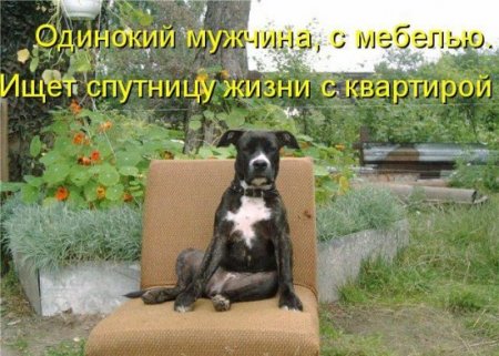 post-18213-0-19231200-1337520446_thumb.jpg