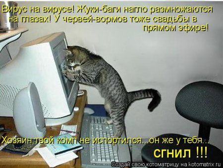 post-18213-0-30942200-1337520558_thumb.jpg