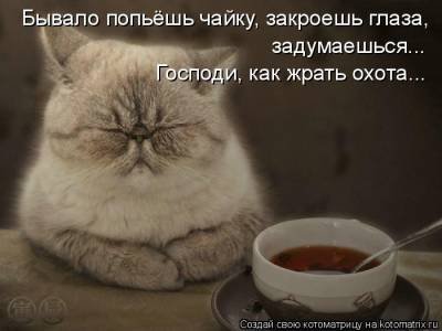 post-28125-0-45002200-1335864115_thumb.jpg