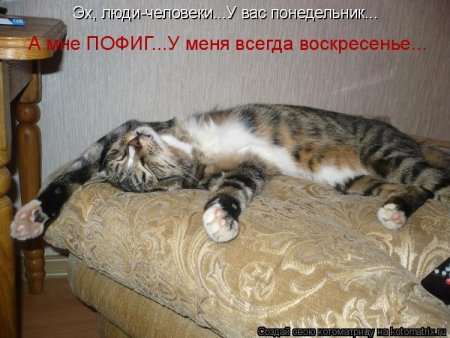 post-29417-0-22331900-1336967384_thumb.jpg