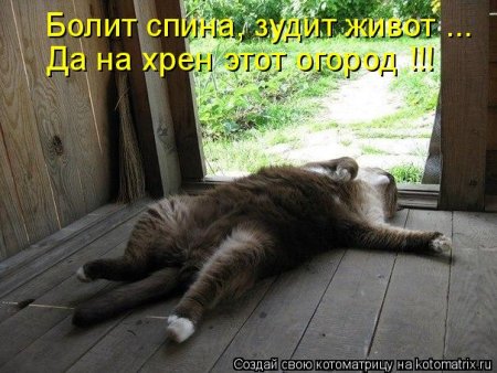 post-29417-0-26753000-1337009585_thumb.jpg