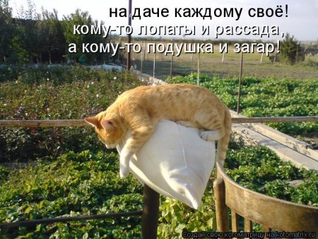 post-29417-0-55577100-1336918516_thumb.jpg