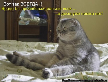 post-29417-0-96462600-1336021646_thumb.jpg