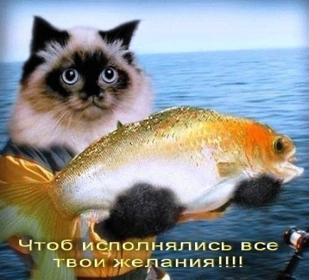 post-34336-0-23996400-1337911471_thumb.jpg