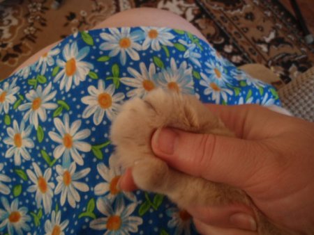 post-31213-0-05447300-1368117112_thumb.jpg