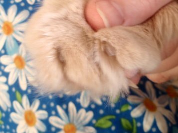 post-31213-0-15777800-1368117111_thumb.jpg