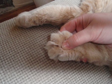 post-31213-0-28845100-1368117113_thumb.jpg