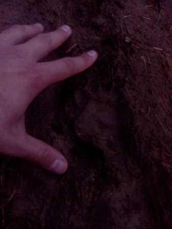 post-71386-0-55403800-1462533839_thumb.jpg