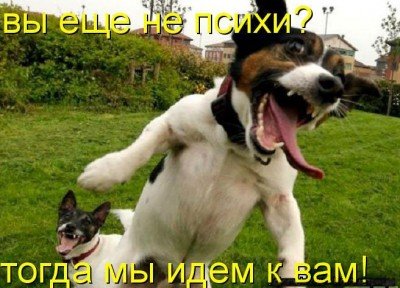 post-27988-1244452601_thumb.jpg