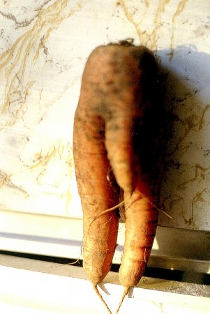 post-27961-0-27573700-1307701695_thumb.jpg