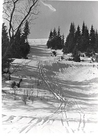post-23720-0-31235500-1339044238_thumb.jpg