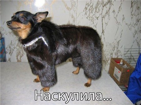 post-59499-0-52330400-1403068888_thumb.jpeg