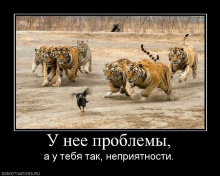 post-29071-0-18810200-1311854622_thumb.jpg