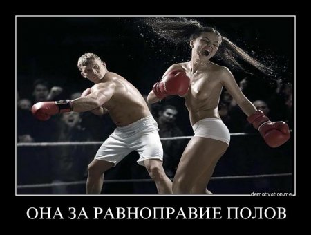 post-2425-0-33201600-1341157674_thumb.jpg