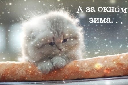 post-29417-0-22276100-1341155359_thumb.jpg