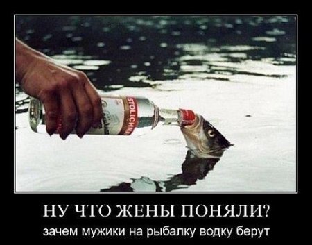 post-29016-0-41154300-1375436874_thumb.jpg