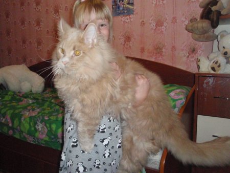 post-31213-0-34201100-1377447961_thumb.jpg