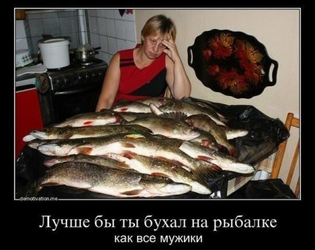 post-6541-0-95515900-1376996900_thumb.jpg