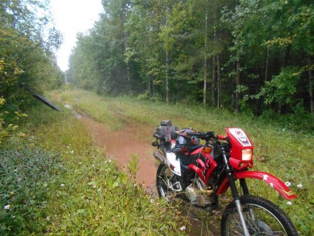 post-32668-0-82868400-1438793755_thumb.jpg